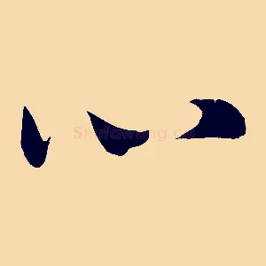 心