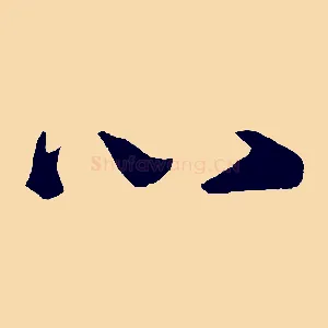 心
