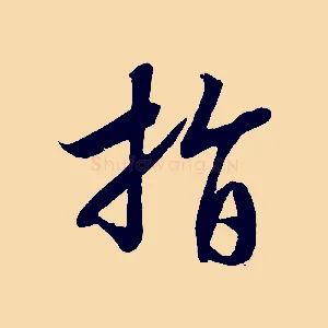 指