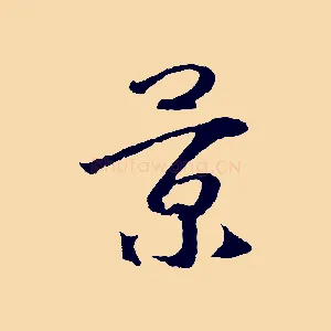 景