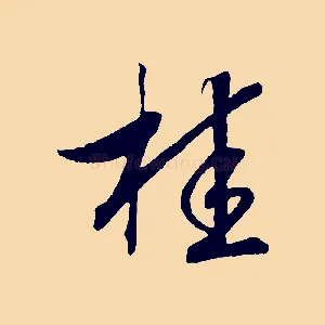 桂