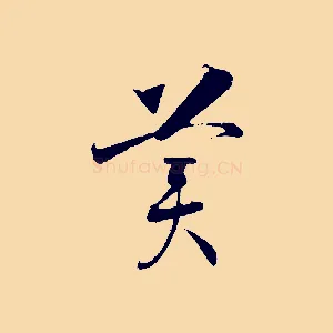 美