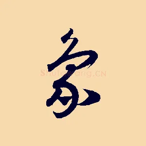 象