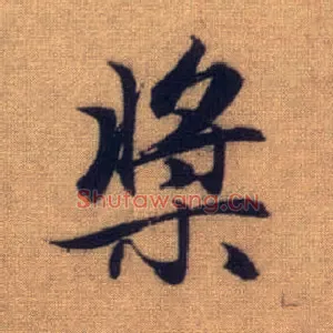 桨