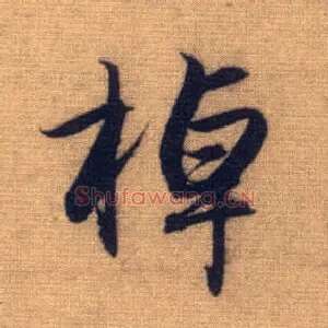 棹