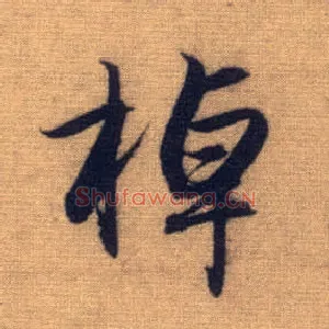 棹
