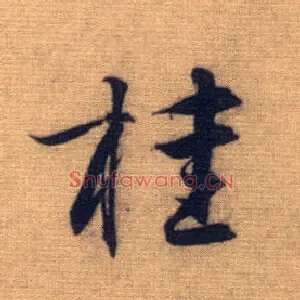 桂