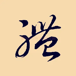 體