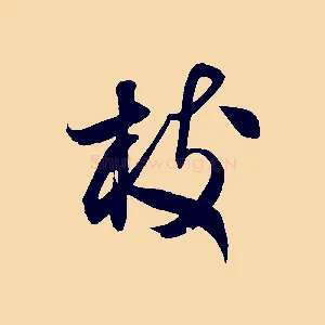 枝