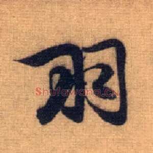 羽
