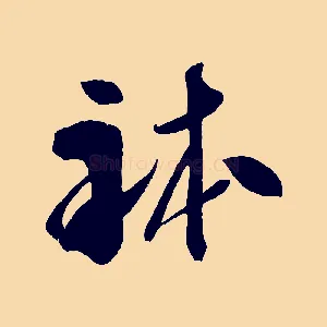 體