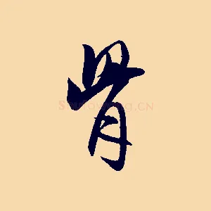 骨