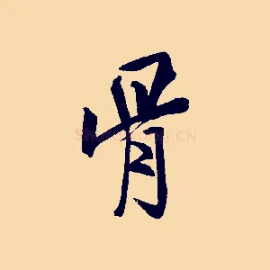 骨