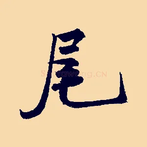 尾