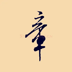 章
