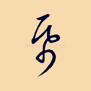 紙