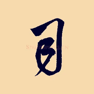 司