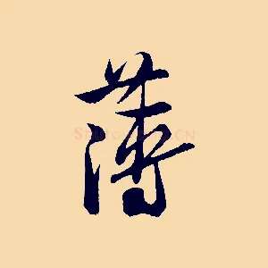 薄