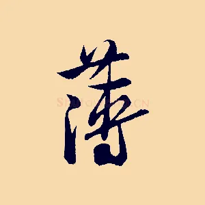 薄