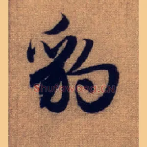 豹
