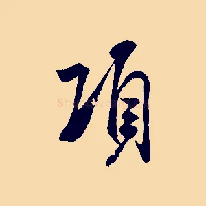 項
