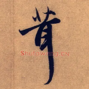 茸