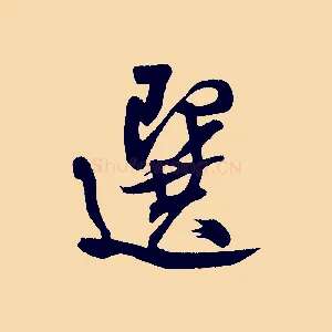 選