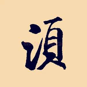須
