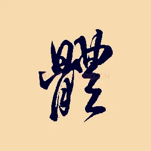 體