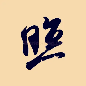 照