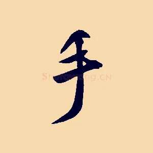 手