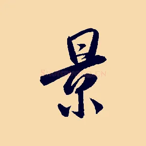 景