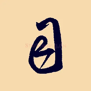 司