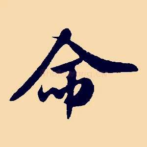 命