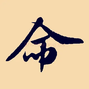 命