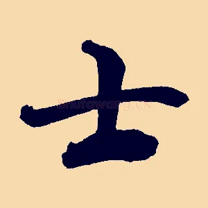 士