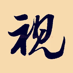 視