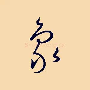 象