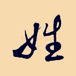 姓