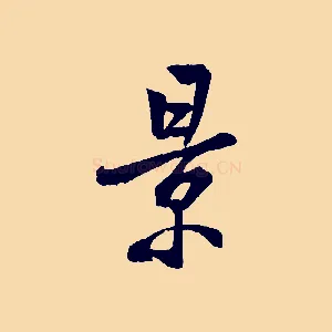 景