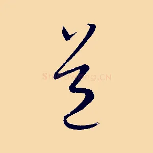 道