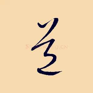 道