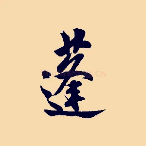 蓬