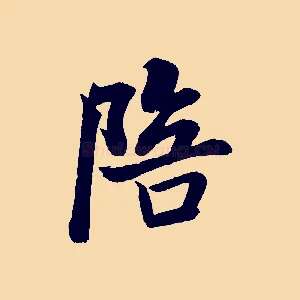 陪
