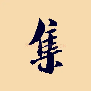 集