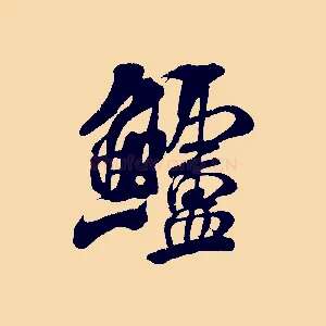 鱸