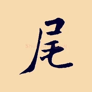 尾