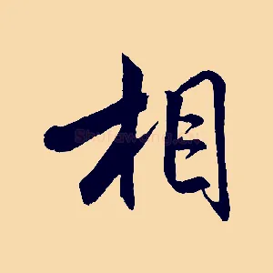 相