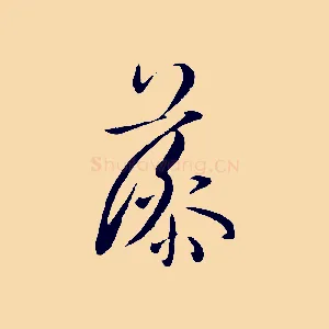 藻