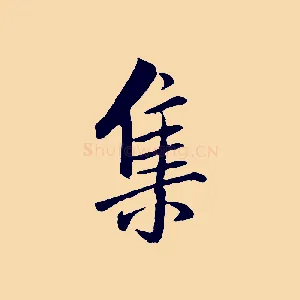 集